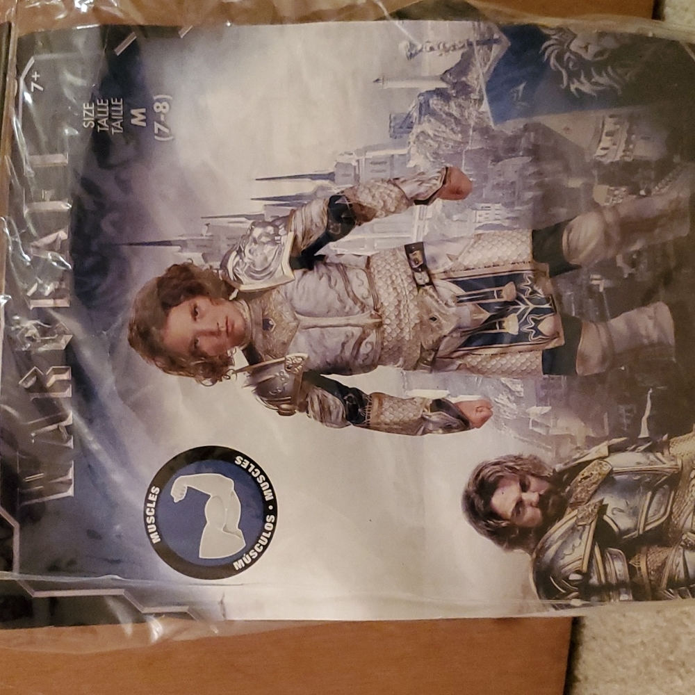 Boys "Warcraft (King Llanne)" Costume - Picture 2 of 5
